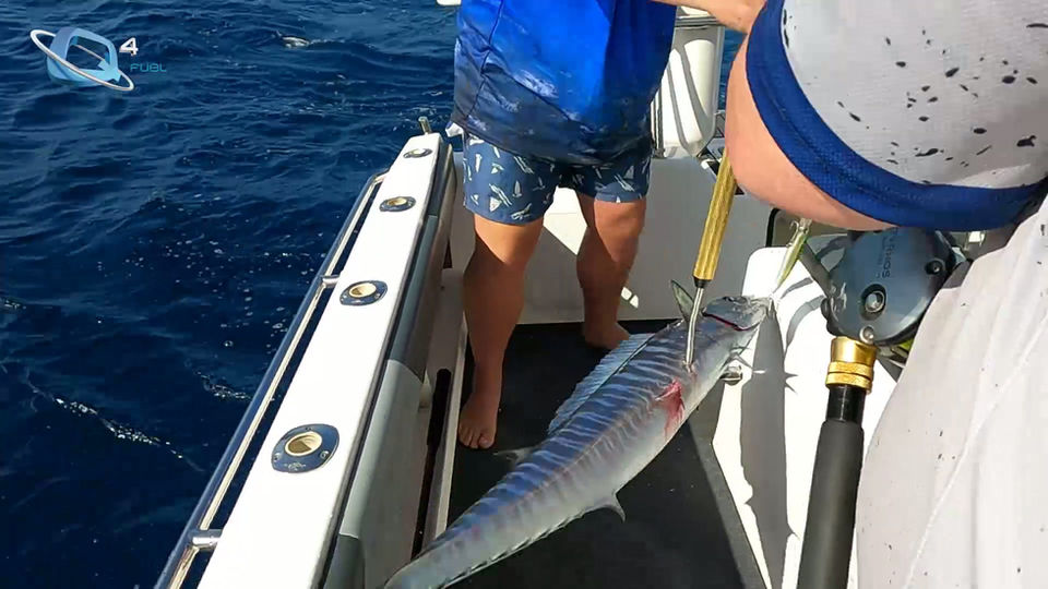 Q4_Edit_High bitrate2